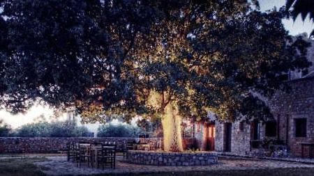 Vlyhada Guesthouse Pyrgos Dirou Экстерьер фото
